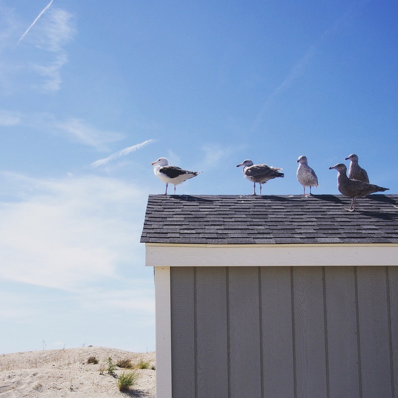 In queue. Sandy Hook, NJ